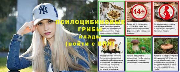 СК Верея