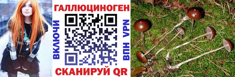 Галлюциногенные грибы MAGIC MUSHROOMS  Купить закладки  Нытва 